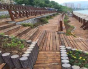 ����ľ�đ�(y��ng)�÷���