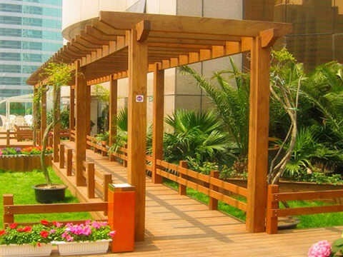 ����ľ�L(zh��ng)��